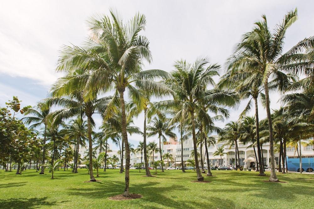 Cardozo Hotel Miami Beach Exterior photo